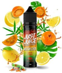 Příchuť Just Juice Shake and Vape 10ml Lulo & Citrus