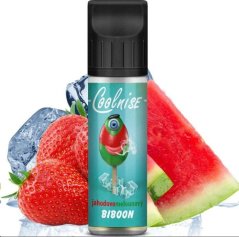 Příchuť CoolniSE S&V 10ml BIBOON