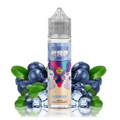 TI Juice Bar Series - S&V - Blueberry - 10ml