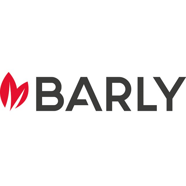 Barly RED Berry Salt 20mg