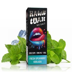Hawk Tuah Salt - Fresh Spearmint Koolada - 10ml - 20mg