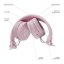 LAMAX Blaze2 Pink