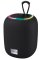CANYON reproduktor BSP-8, RGB, BT V5.2, BLUETRUM AB5362B, 1x10W, USB-C, USB-A, microSD, AUX, šedá