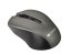 CANYON myš optická bezdrátová CMSW1, nastavitelné rozlišení 800/1000/1200 dpi, 4 tl, USB nano reciever, šedá