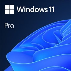 Microsoft OEM Windows 11 Pro  64-Bit English 1pk DVD