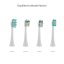 TrueLife SonicBrush GL UV