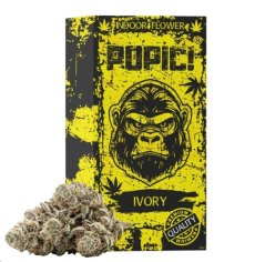 POPIČ! KVĚT – SIGNATURE: IVORY – 1G
