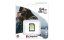 Kingston paměťová karta 64GB Canvas Select Plus SD UHS-I (čtení/zápis: 100/85MB/s)